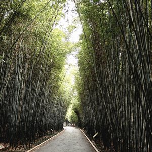 心火.wav