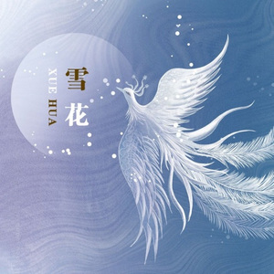 走错过路看错过人