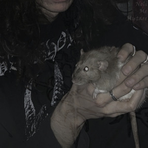 Postmortem Sonitus Frumenti