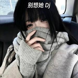 别想她 (DJ版)