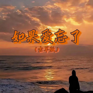 如果爱忘了(DJ版)