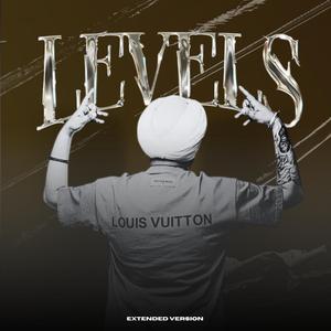 Levels (Extended Version)