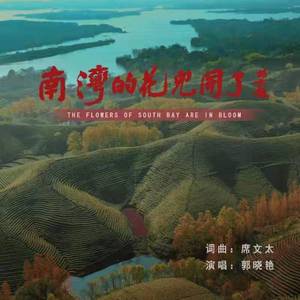 南湾的花儿开了