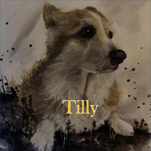 Tilly