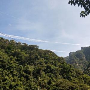 浪尖旋转的夏天