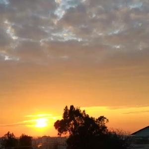 出发吧，迷途！