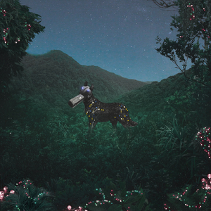 Mimosa (David Rausch Remix)