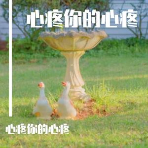 心疼你的心疼