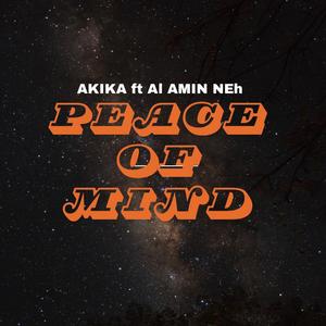 Peace of mind (feat. Akika)