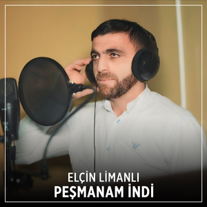 Peşmanam İndi