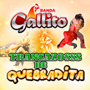 Anda Borracho el Guey