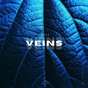 Veins