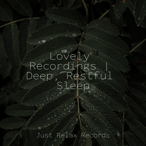 Fading Memories Among Ruins