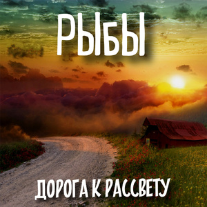 Твой день