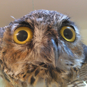 How Much Money Do You Got