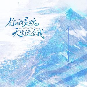 你的灵魂天生适合我Mix4 伴奏