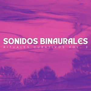 Diapasones A 256 Hz En Do