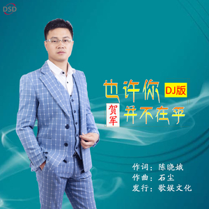 也许你并不在乎（DJ版伴奏）