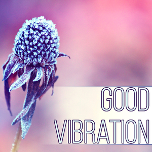 Good Vibrations