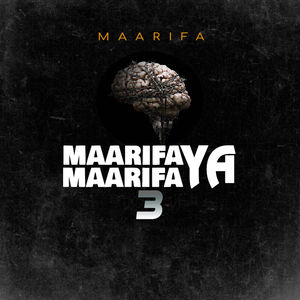 Maarifa Ya Maarifa 3
