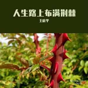 人生路上布满荆棘