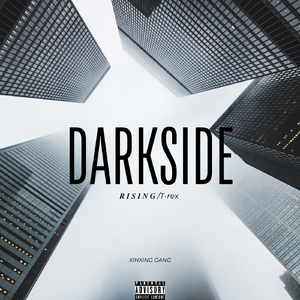 DARKSIDE(ProdBy风味茄紫少喝酒)