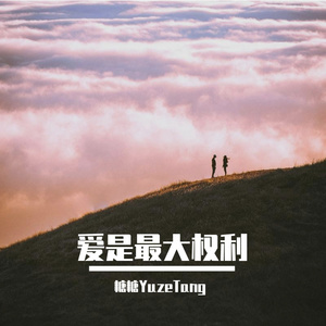 爱是最大权利 (Uncompleted)