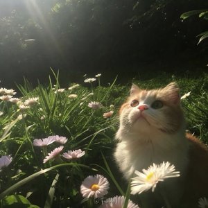 瞬间的集合