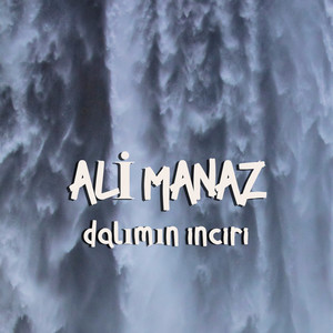 Dalımın İnciri