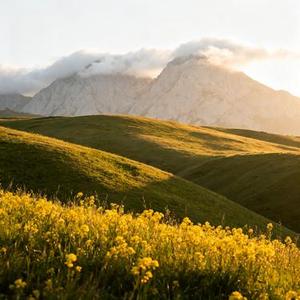 相爱分开都是罪 (Cover 六哲)