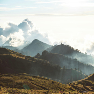 심신의 균형 (Simsinui Gyunhyeong)