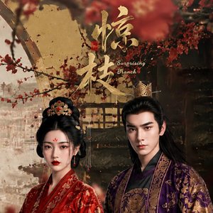 马涛。王靖雯《青幽》插曲电视剧《惊枝》