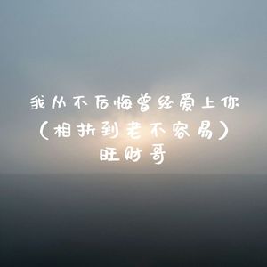 我从不后悔曾经爱上你(相扶到老不容易)