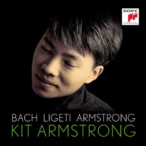 Vom Himmel hoch, da komm' ich her, BWV 738