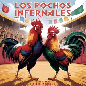 Los Gallos De Peleas