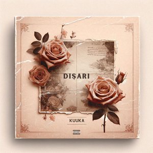 DIŞARI