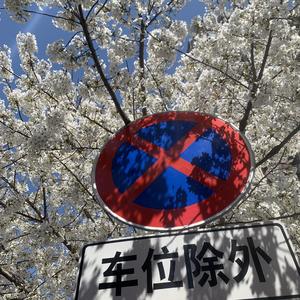 向阳