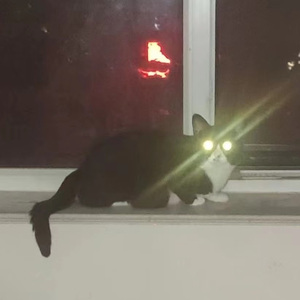 不如不见面（Rac C remix）