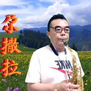 尕撒拉（萨克斯版）（翻自 中国红）