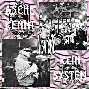 SECHS
