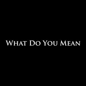What Do You Mean