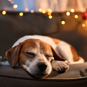 Comodidad De La Cuna Con Pacíficos Ritmos