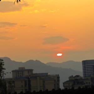 也许再过七年的时间，我会亲口告诉你