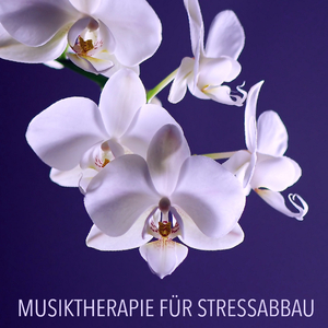 Entspannungsmusik