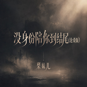 没身份陪你到结尾(沧桑版)