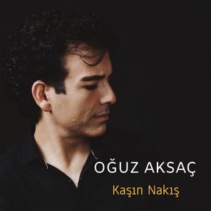 Kaşın Nakış