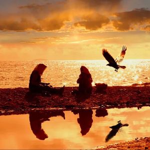 宋冬野-安和桥（Tangkai ）