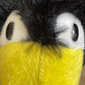 FOHgel Vogel