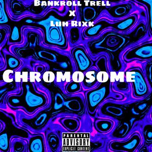 Chromosome