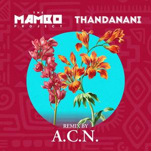 Thandanani (Extended Mix)